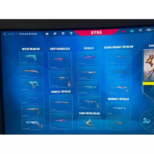  VALORANT BOL SKİNLİ HESAP